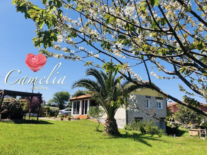Camelia Casina Rural Villa Albuerne Eksteriør billede